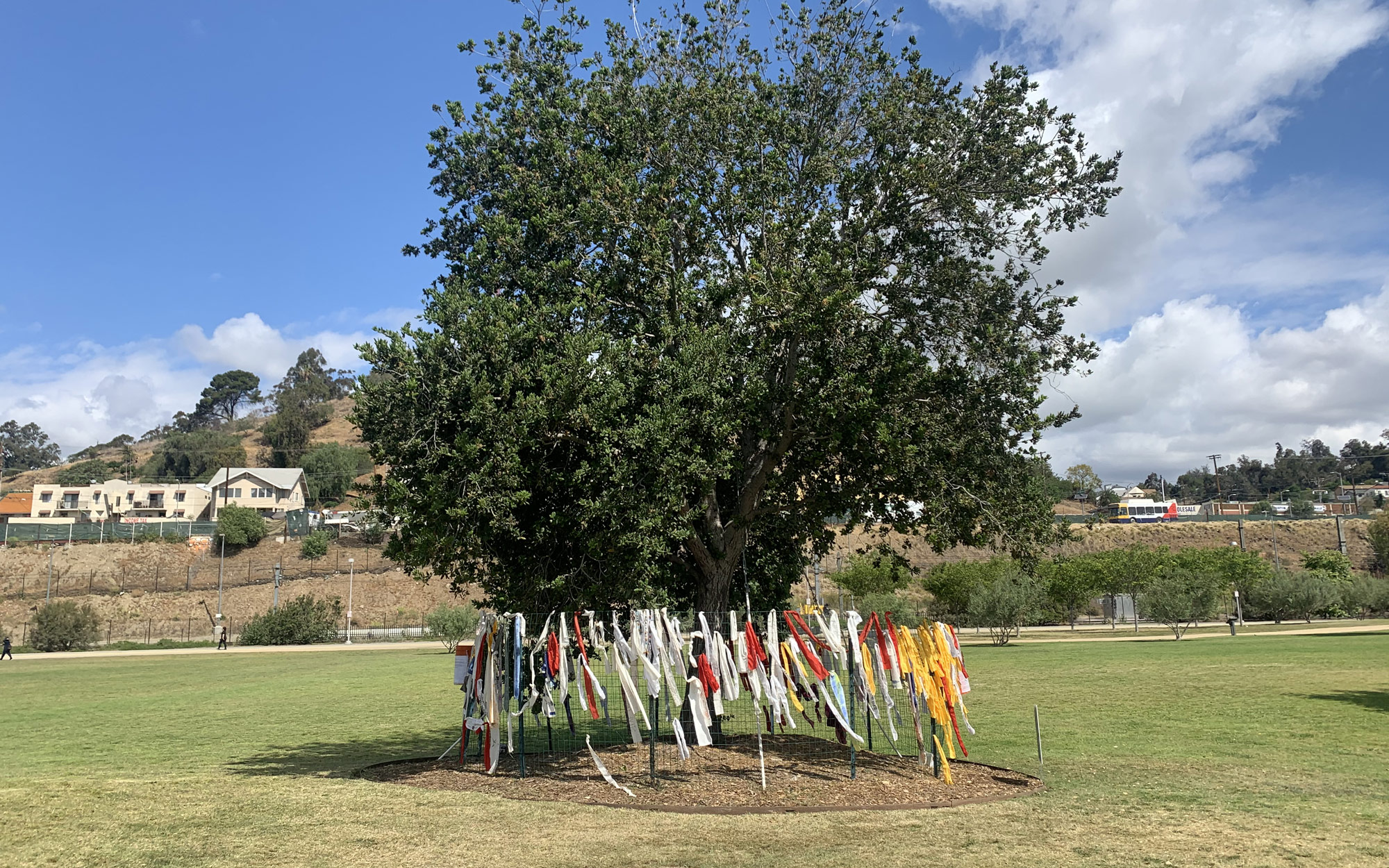 Living Memorial Garden