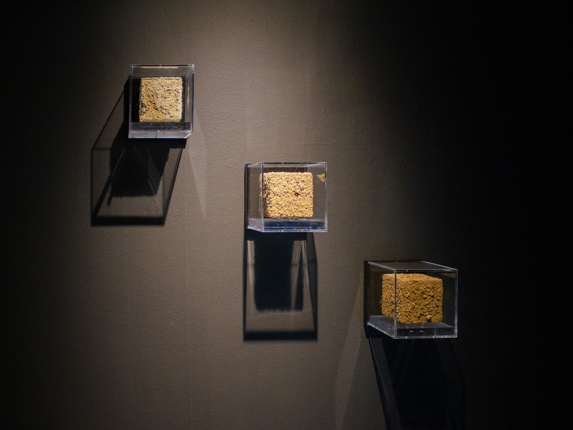 Water-Gold-Soil_Installation-view_04