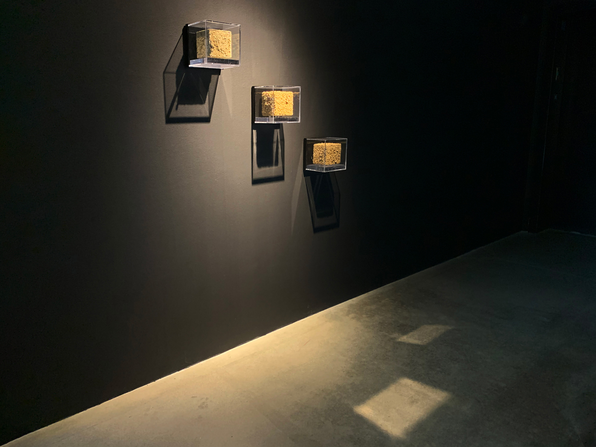 Water-Gold-Soil_Installation-view_05