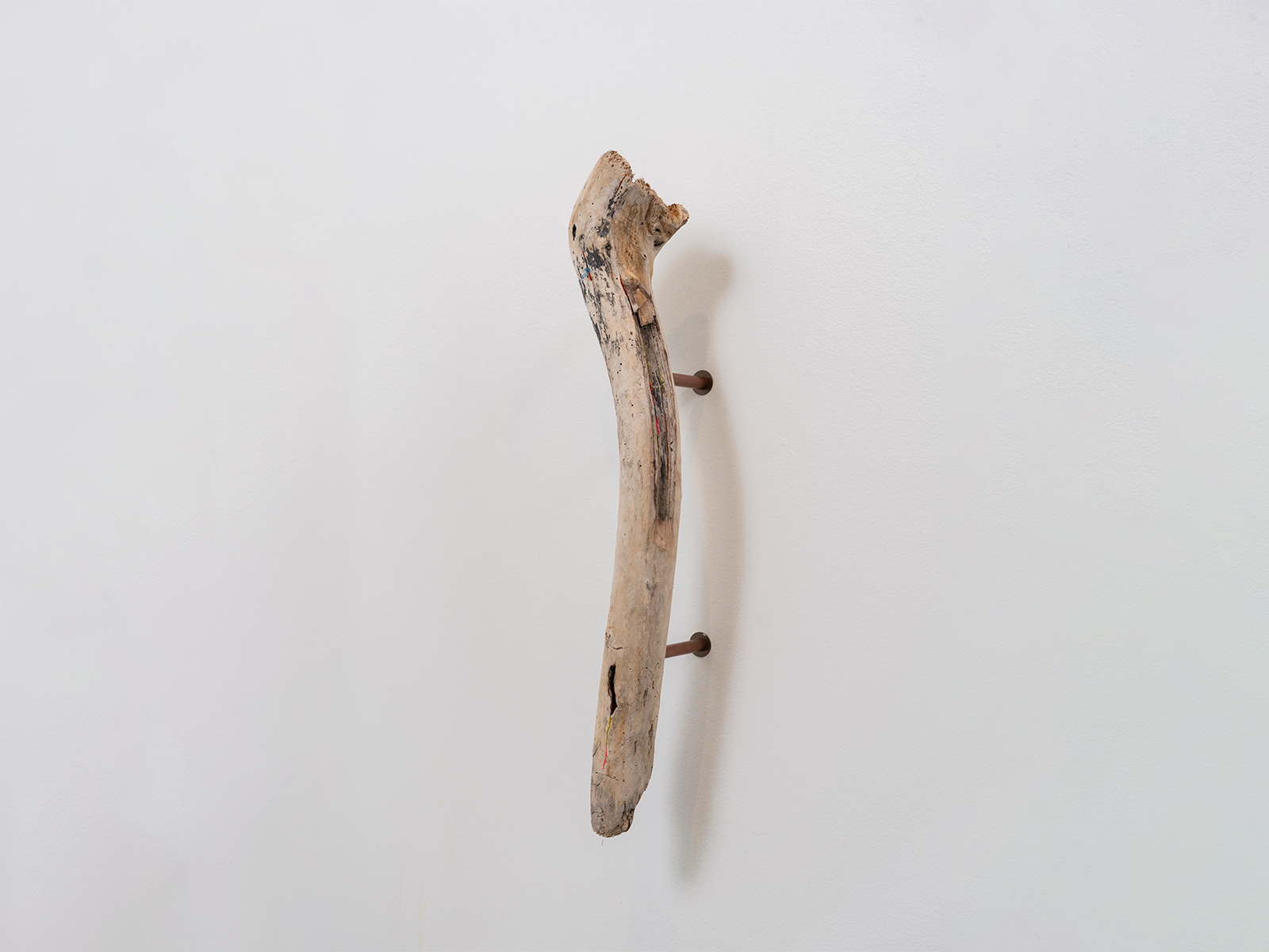 _010A_Scacco-Debra_Tendon_Pacific-driftwood-waste-plastic-copper_2025
