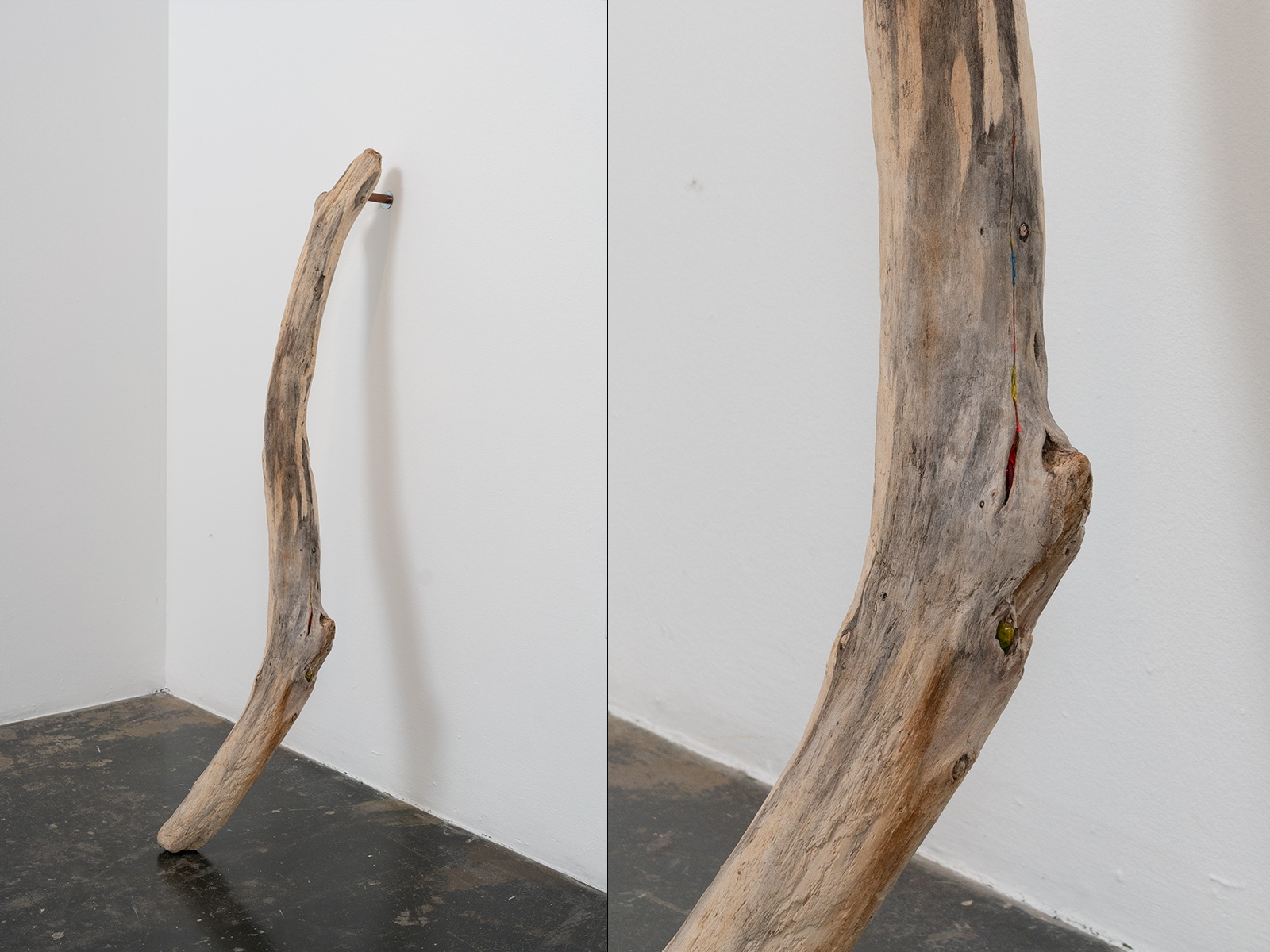 _013_Scacco-Debra_Cartilage_Pacific-driftwood-waste-plastic-copper_2025