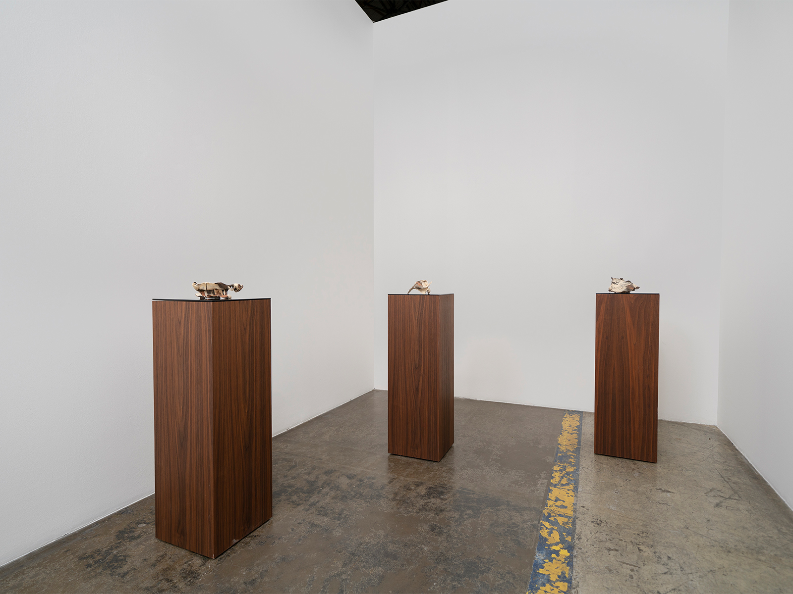 _024_Scacco-Debra_Laboratory-for-the-Future_Installation-View_16 (1)