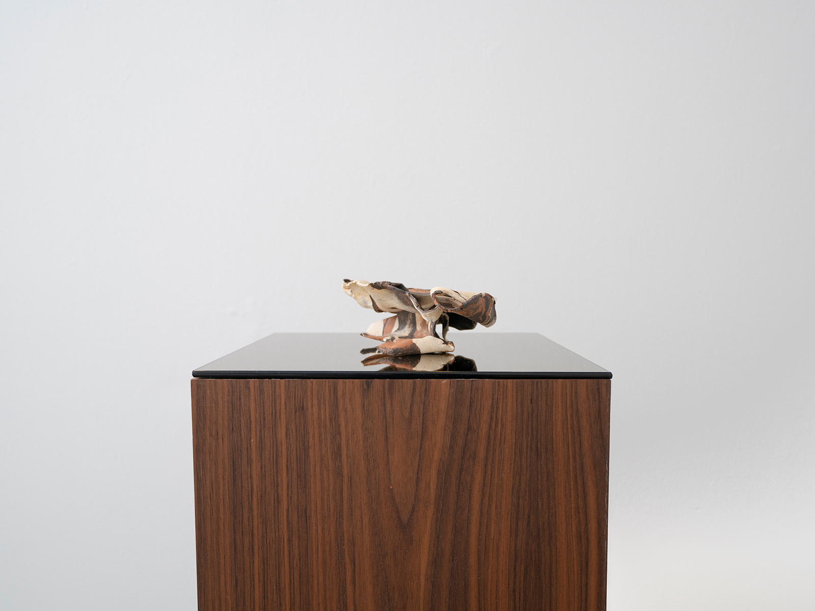 _029_Scacco-Debra_Snake_California-clay-mirror-wood_13x13x45-in_2024