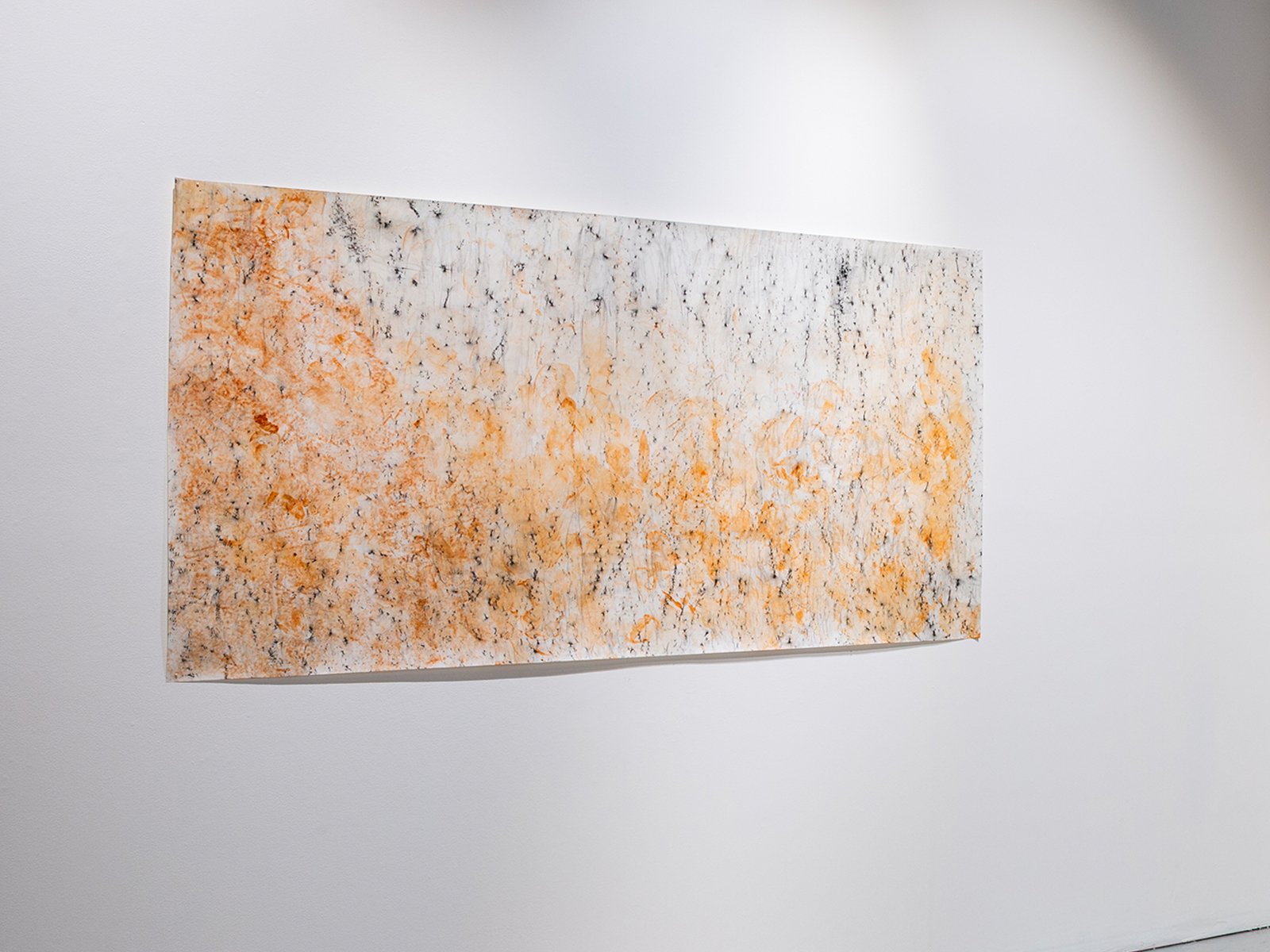 03_Scacco-Debra_The-Gray-Beginnings