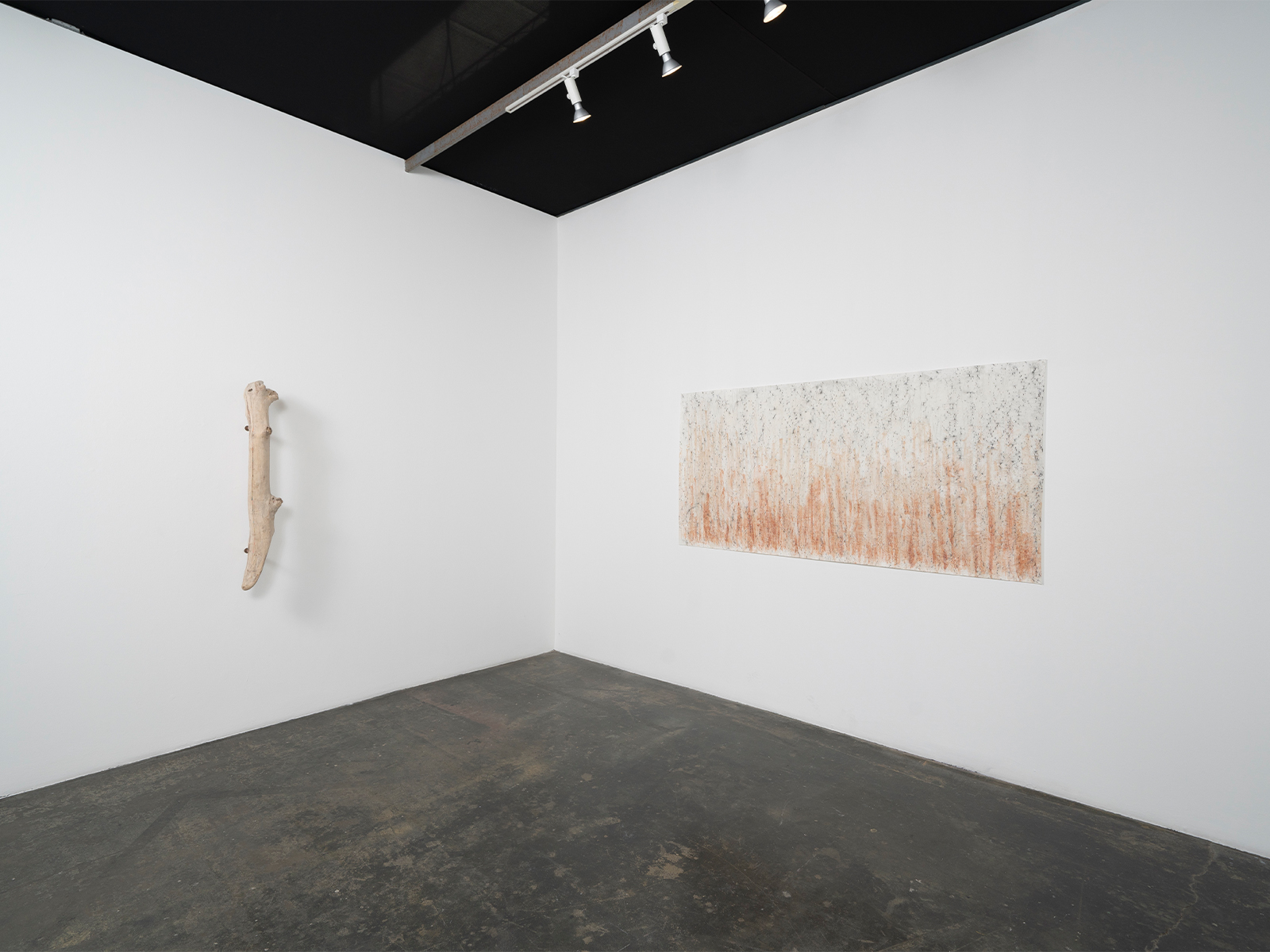 _09_Scacco-Debra_Laboratory-for-the-Future_Installation-View_09