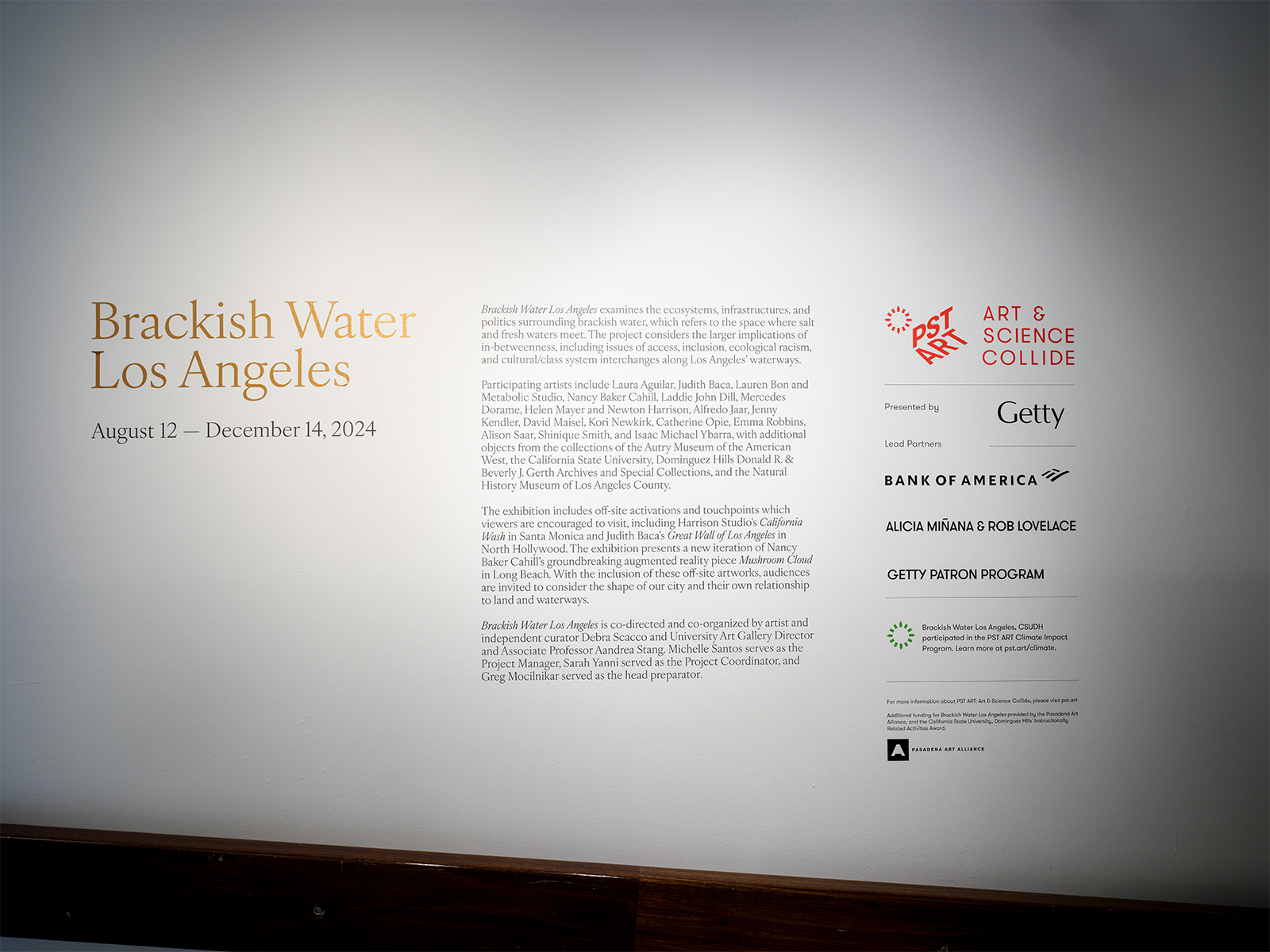 Scacco-Debra_Brackish-Water-Los-Angeles_CSUDH_08.08.240600