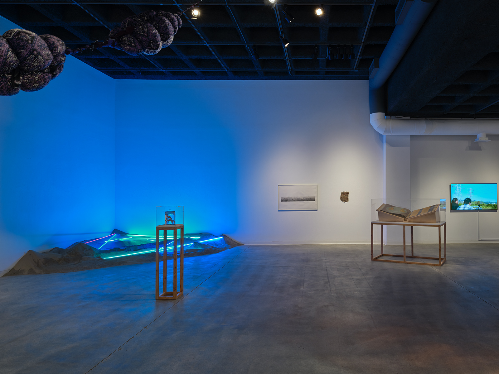 Scacco-Debra_Brackish-Water-Los-Angeles_Installation-View_04