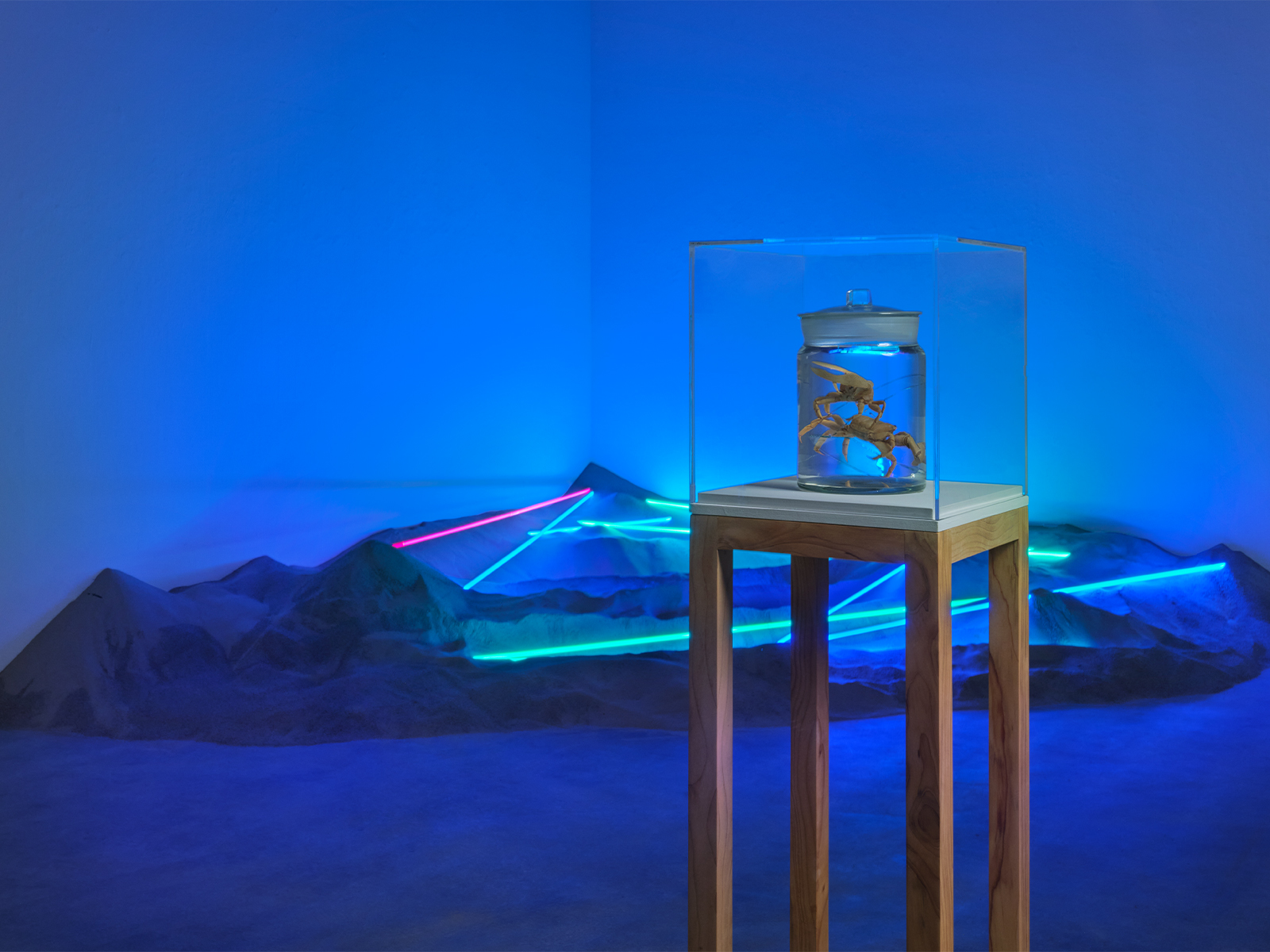 Scacco-Debra_Brackish-Water-Los-Angeles_Installation-View_05