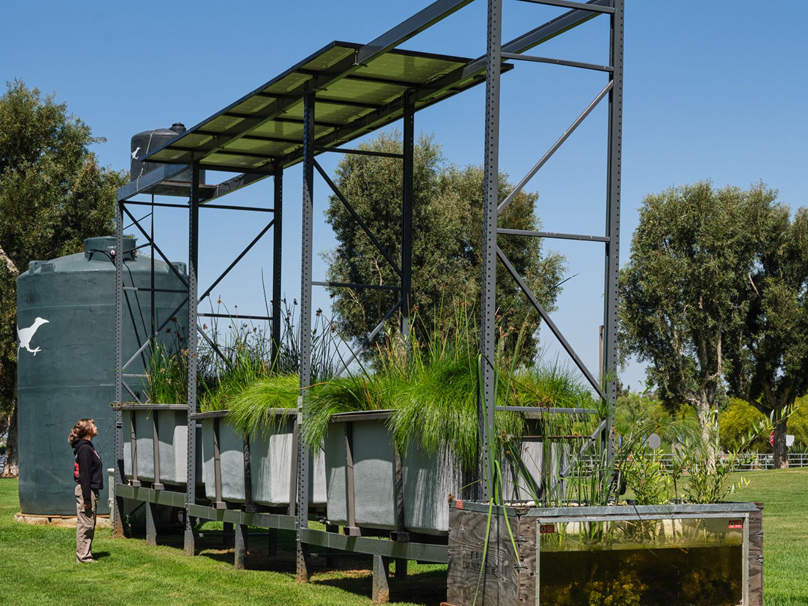 Lauren-Bon-and-Metabolic-Studio_Scacco-Debra_Portable-Wetland-for-Southern-California_Mixed-media-and-sound_42x16x19-ft_2019_02