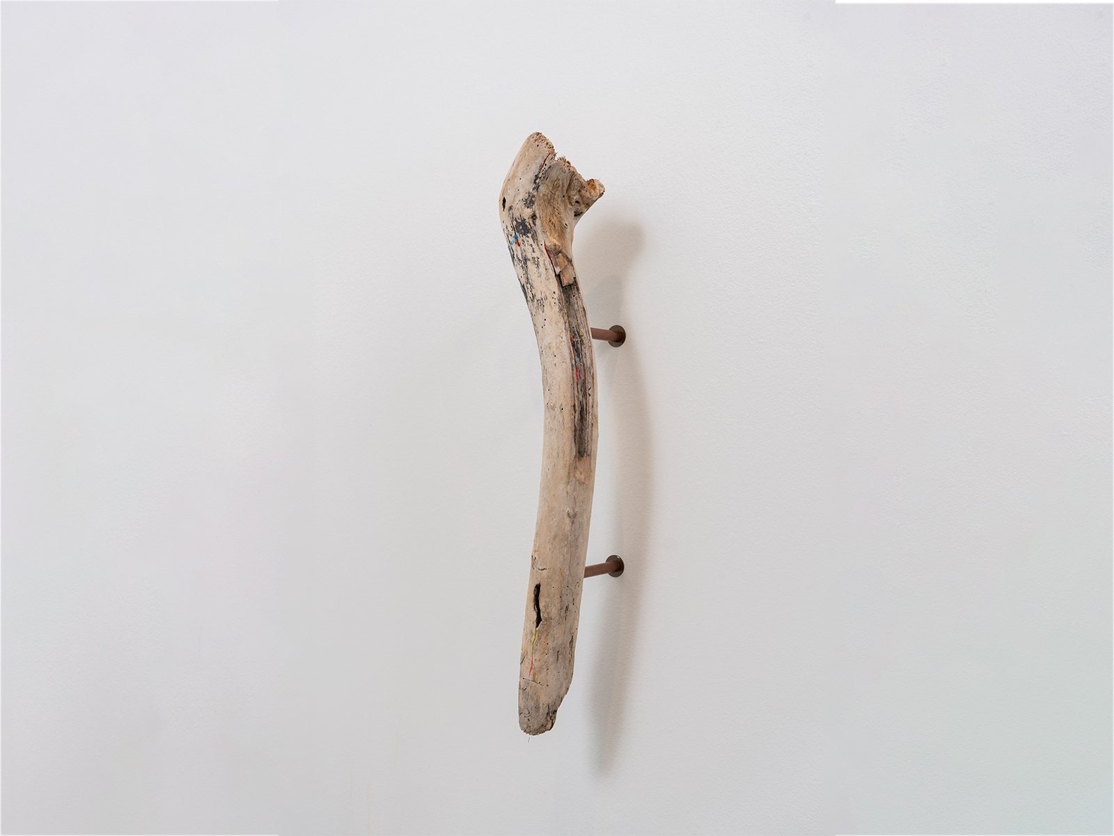 02_Scacco-Debra_Laboratory-for-the-Future_Tendon_Pacific-driftwood-waste-plastic-copper_2025_02