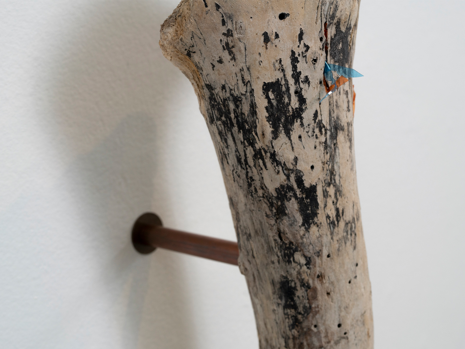 03_Scacco-Debra_Laboratory-for-the-Future_Tendon_Pacific-driftwood-waste-plastic-copper_2025_03