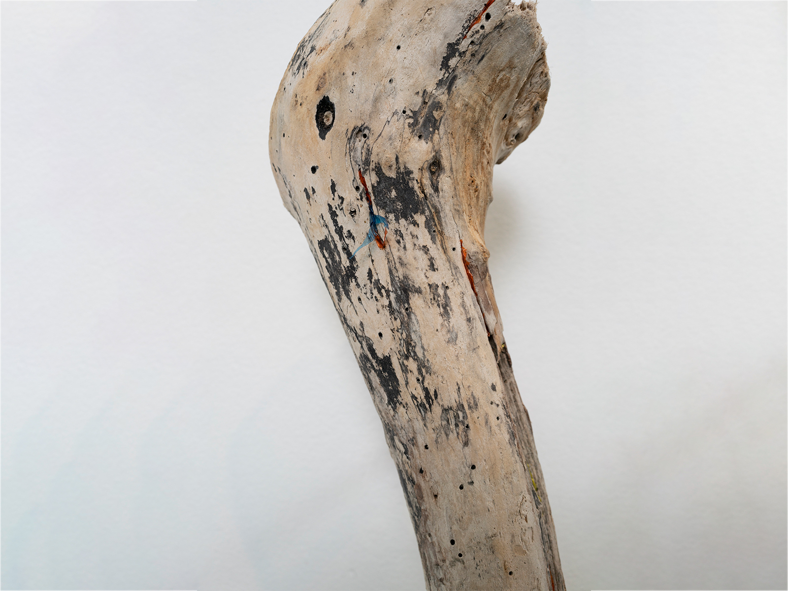 04_Scacco-Debra_Laboratory-for-the-Future_Tendon_Pacific-driftwood-waste-plastic-copper_2025_04