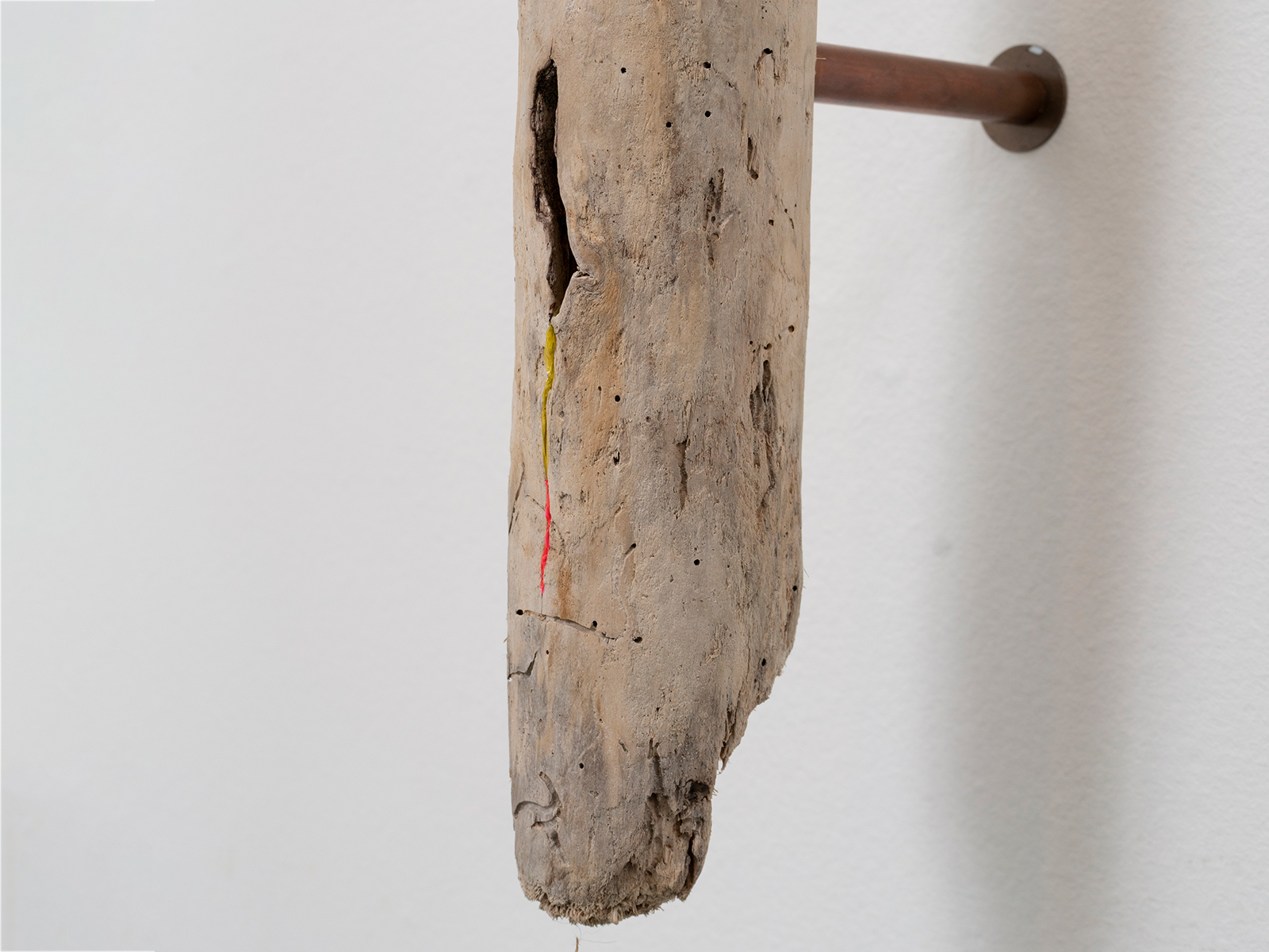 05_Scacco-Debra_Laboratory-for-the-Future_Tendon_Pacific-driftwood-waste-plastic-copper_2025_05