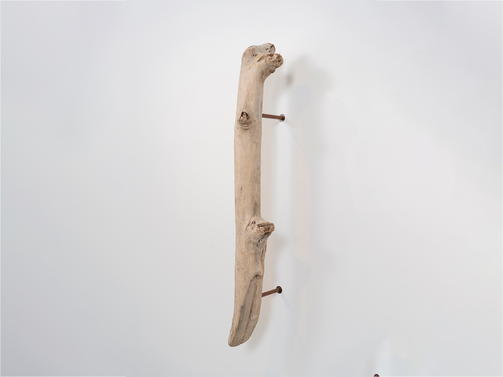 07_Scacco-Debra_Laboratory-for-the-Future_Ossein_Pacific-driftwood-waste-plastic-copper_2025_02