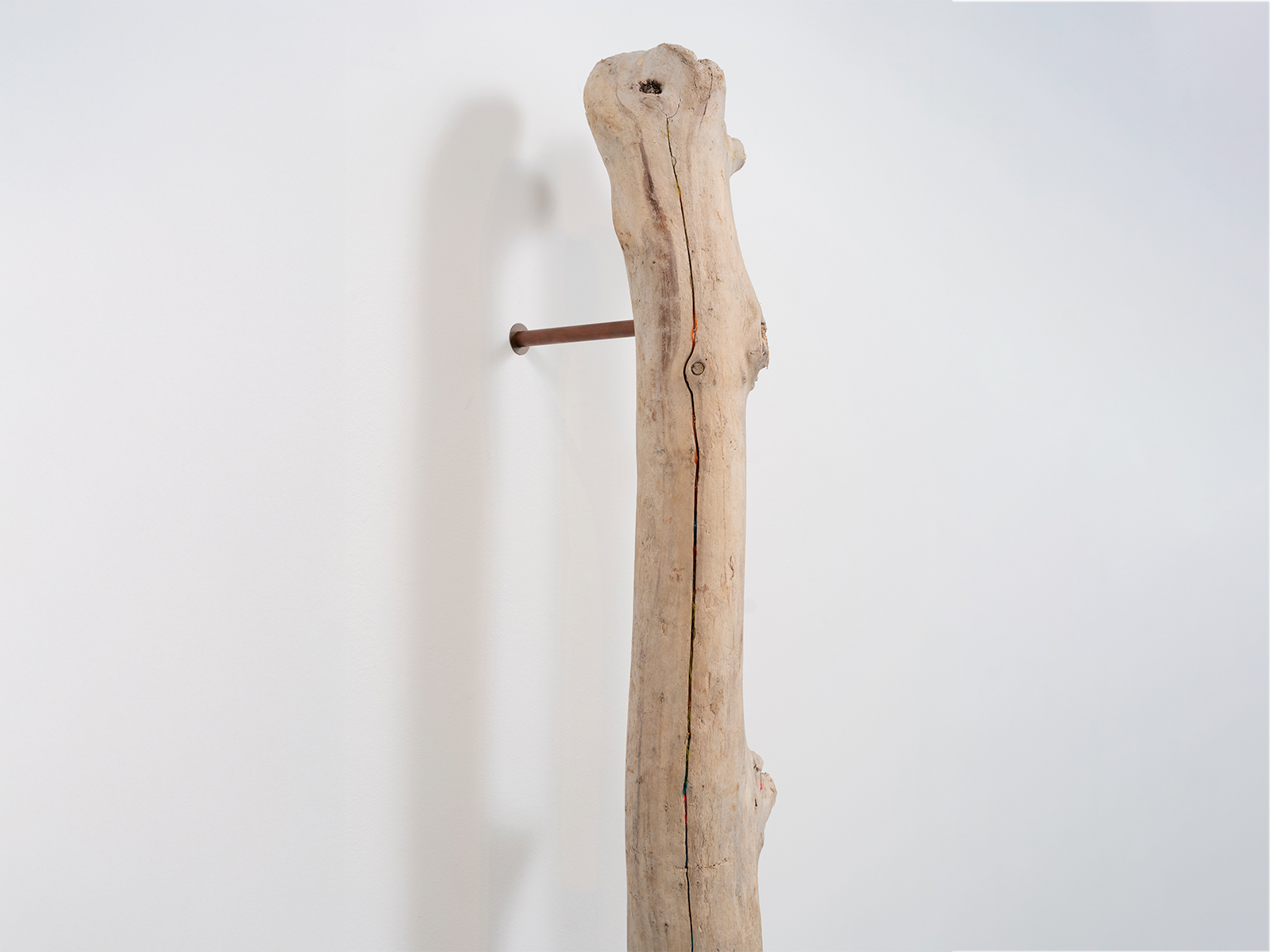 09_Scacco-Debra_Laboratory-for-the-Future_Ossein_Pacific-driftwood-waste-plastic-copper_2025_04