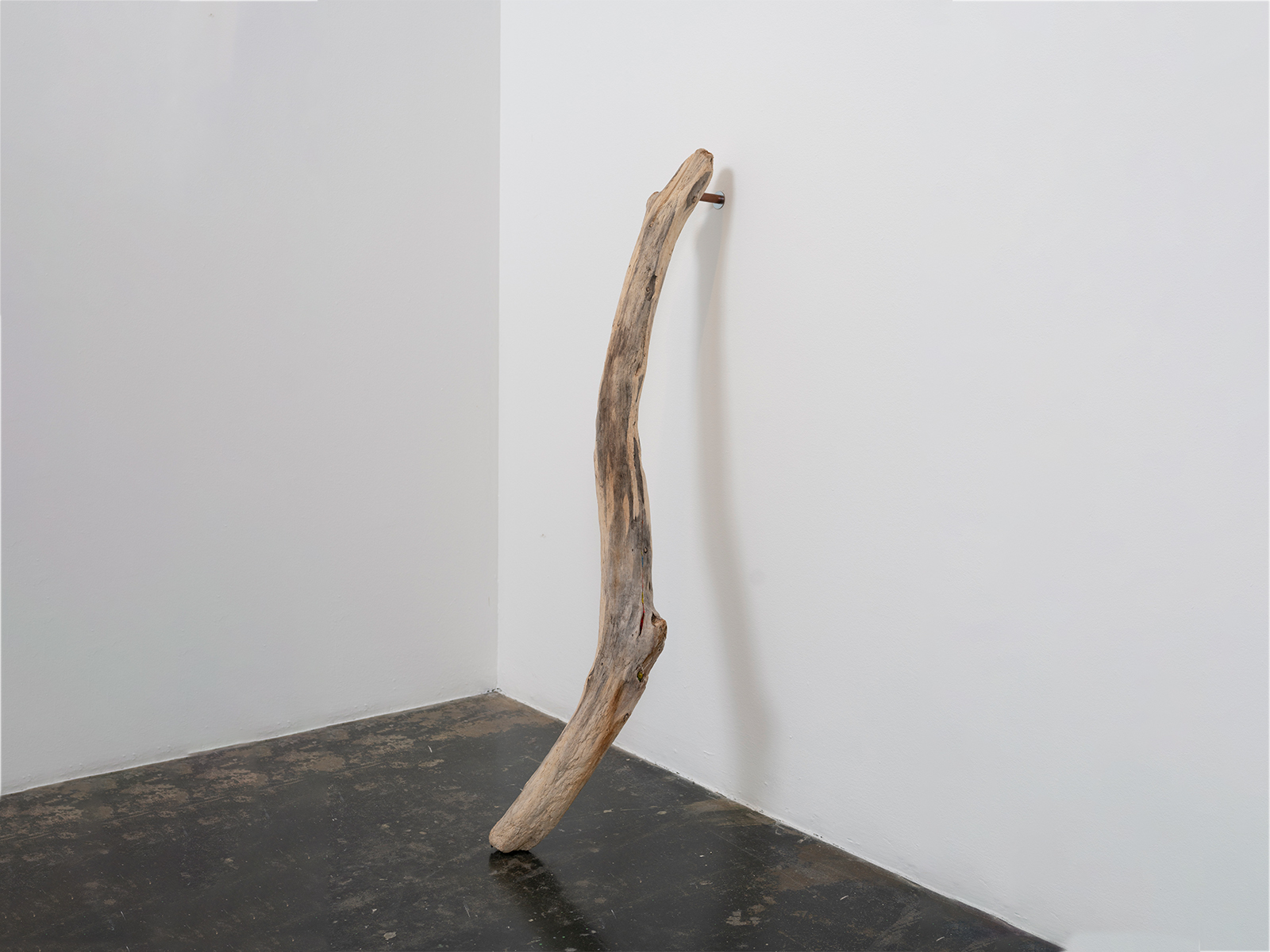 10_Scacco-Debra_Laboratory for the Future_Cartilage_Pacific-driftwood-waste-plastic-copper_2025